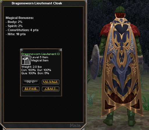 Picture for Dragonsworn Lieutenant Cloak