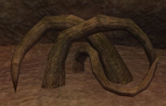 a strangleknot root