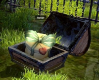 A gift box of Honey in a wooden Treasure Chest.