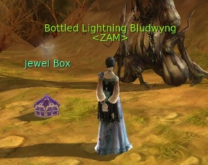 Lost Jewel Box