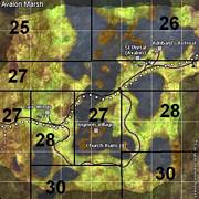 Avalon Marsh lvl region map.